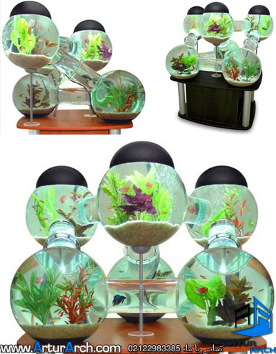 Saltwater aquarium